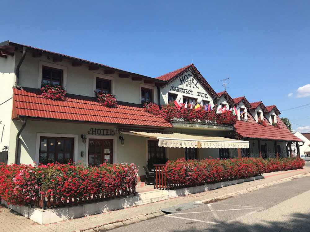Hotel Hotel Karpatsky Dvor
