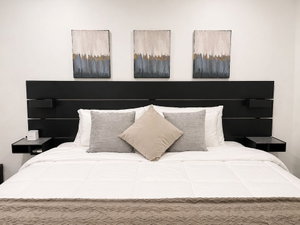 Hotel Hostal Boutique Zona Rosa San Benito cazare Antiguo Cuscatlan