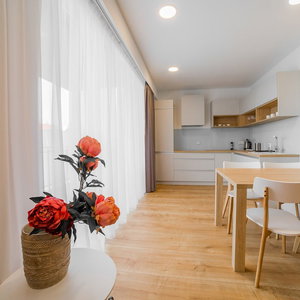 Hotel Apartment Dolfi cazare Senec
