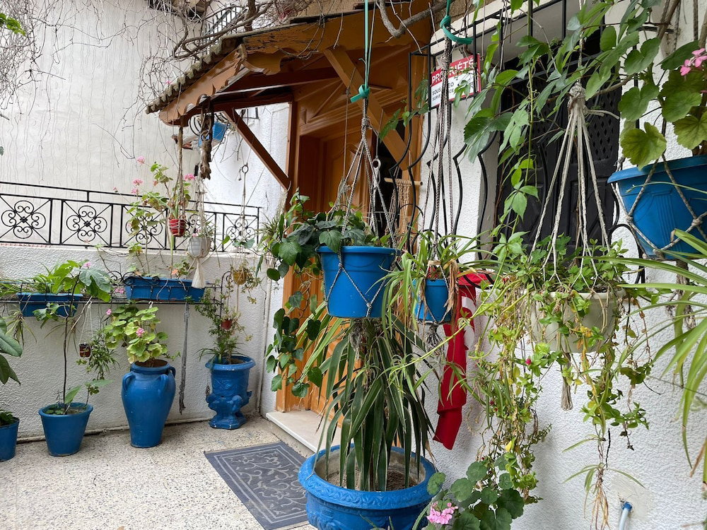 Hotel Casa Zitouna- Guest House - Kef, Tunisia
