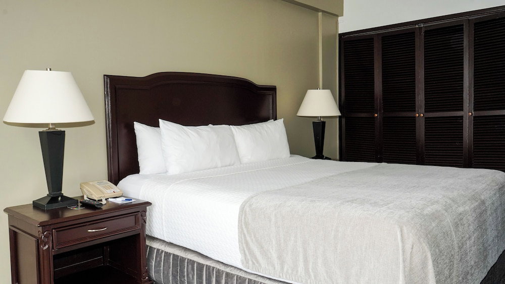 Hotel Plaza Hotel And Suites