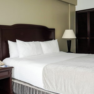 Hotel Plaza Hotel And Suites cazare Santa Tecla