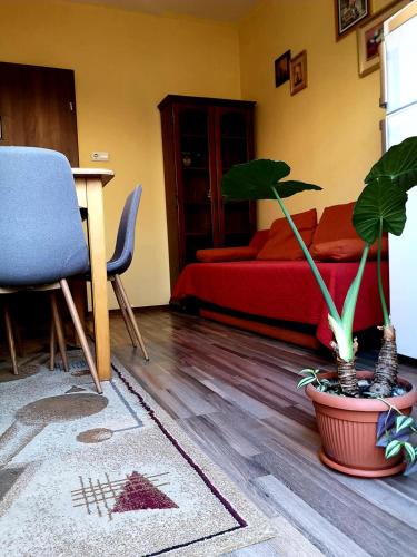 Villa Casa Ioana