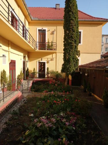 Villa Casa Ioana