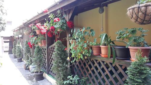 Villa Casa Ioana
