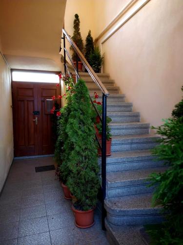 Villa Casa Ioana
