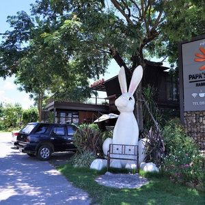 Hotel Papa's Home And Rabbit Cafe cazare Chom Thong