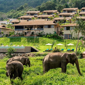 Hotel Wild Cottages Elephant Sanctuary Resort cazare Ko Samui Island