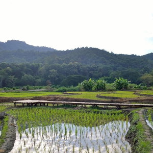 Hotel Bulun Buri Resort cazare Hang Dong