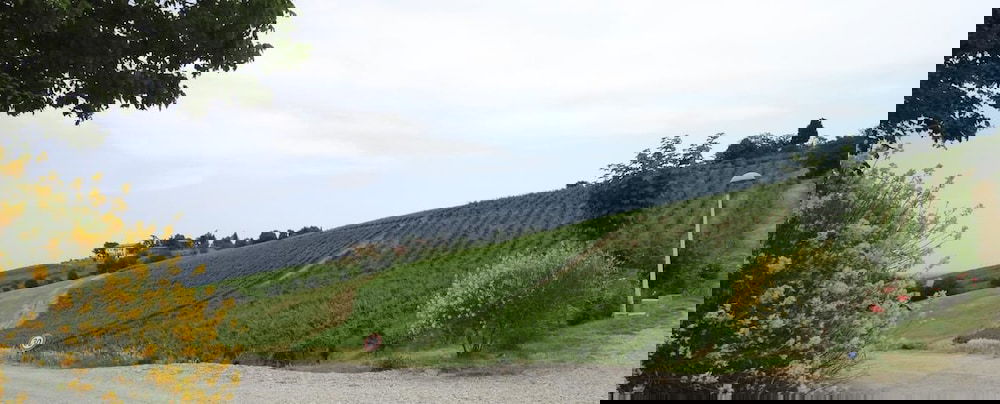 Hotel Agriturismo Borgo Delle Vigne