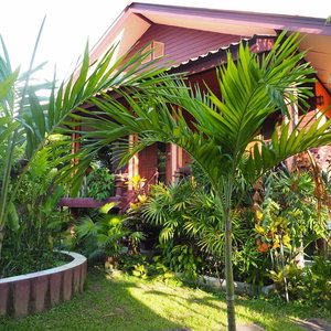 Hotel Bansuan Thanormpat Resort cazare Saraphi