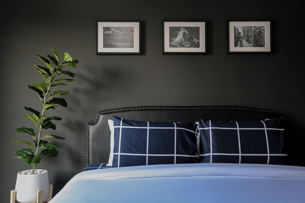 Hotel Black Turtle