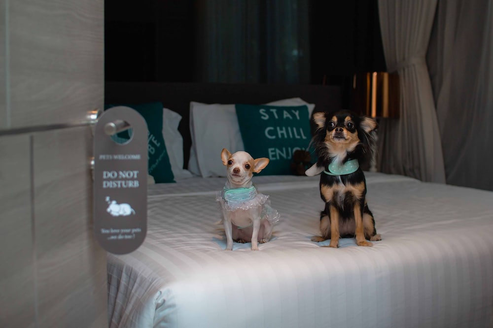 Seaphere Pattaya Hotel