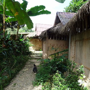 Hotel Hill Tribe Art House cazare Chiang Rai
