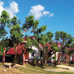 Hotel Nason Resort cazare Ngao