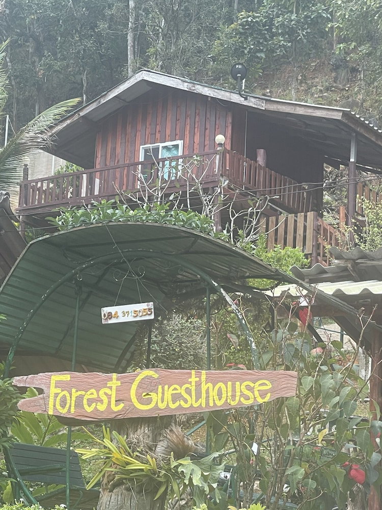 Hotel Forest Guesthouse