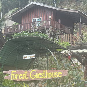 Hotel Forest Guesthouse cazare Samoeng