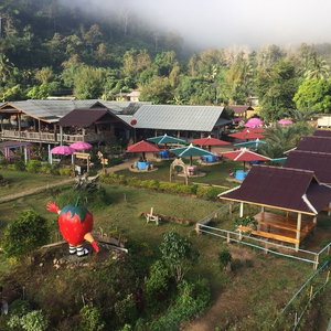 Hotel Wongwan Farm cazare Samoeng