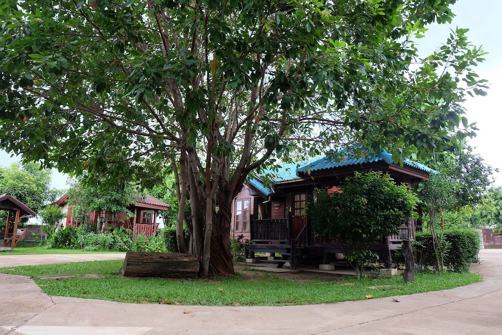 Hotel Big Tree Resort
