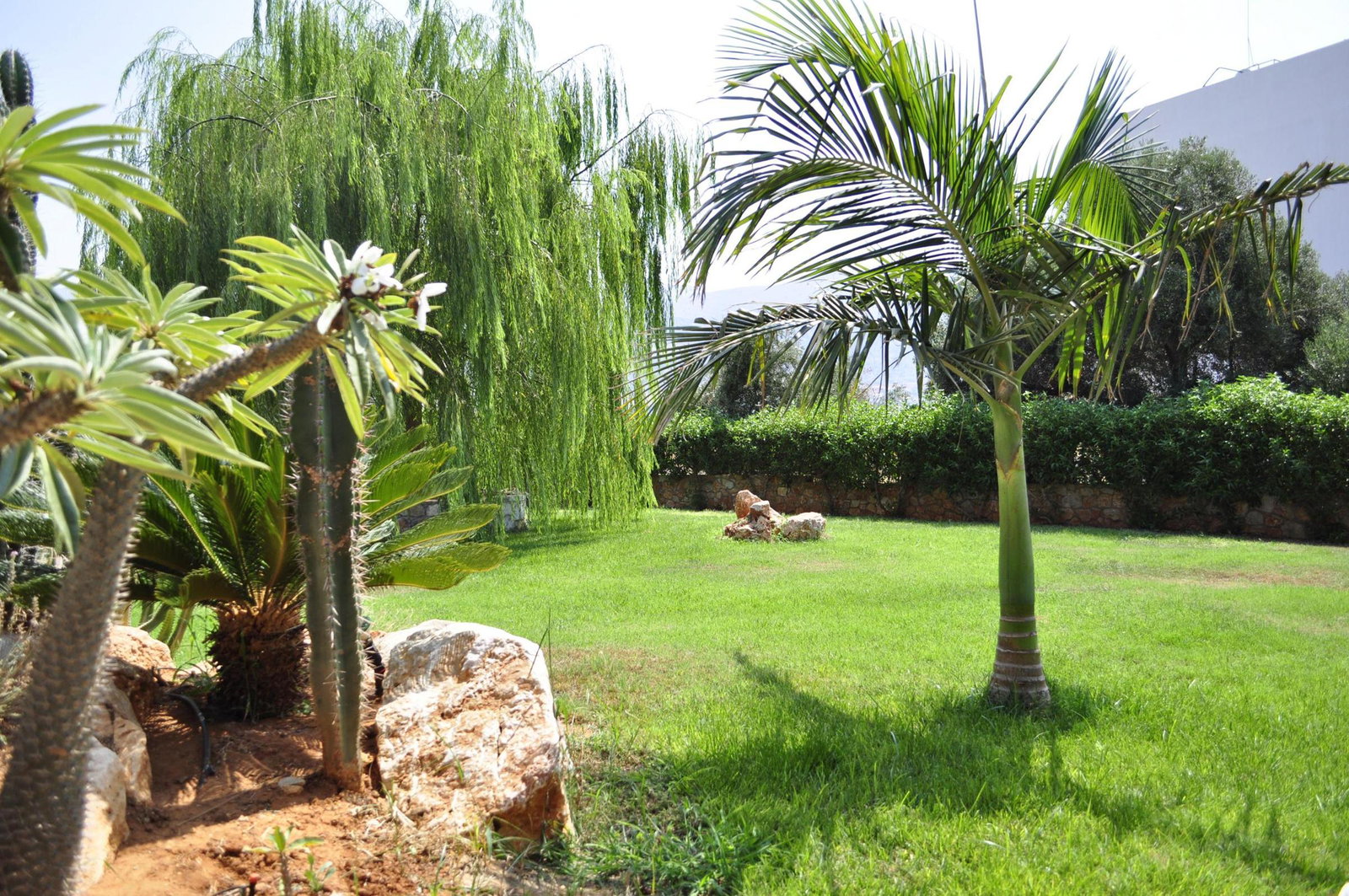 dal travel Sun Village Malia Boutique Hotel