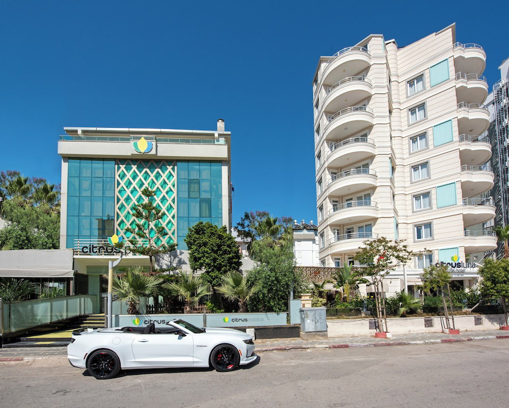 Hotel Citrus Park Hotel