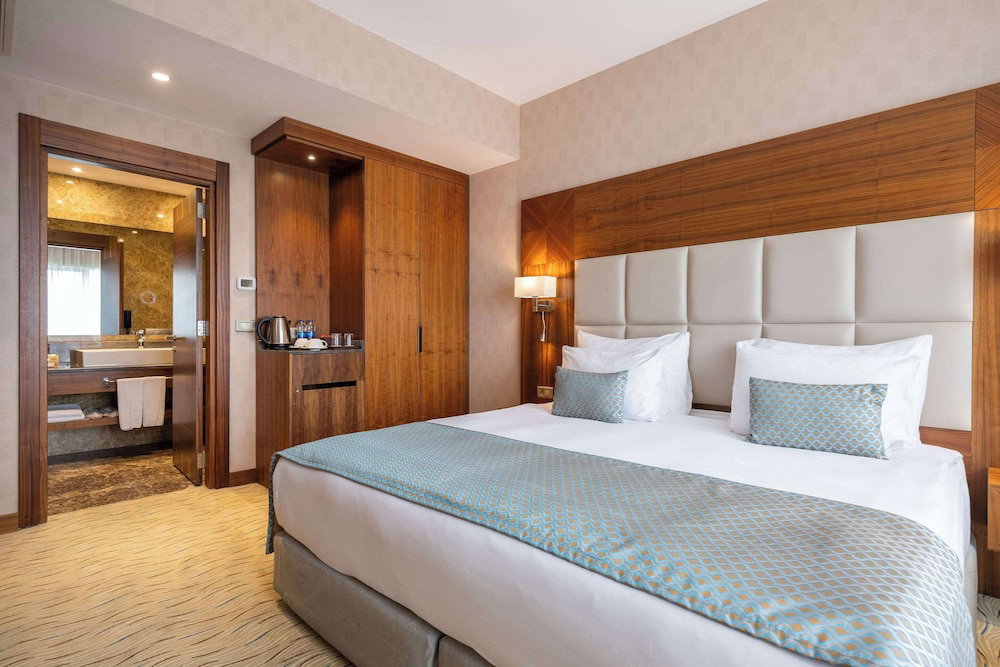 Hotel Clarion Hotel Istanbul Mahmutbey
