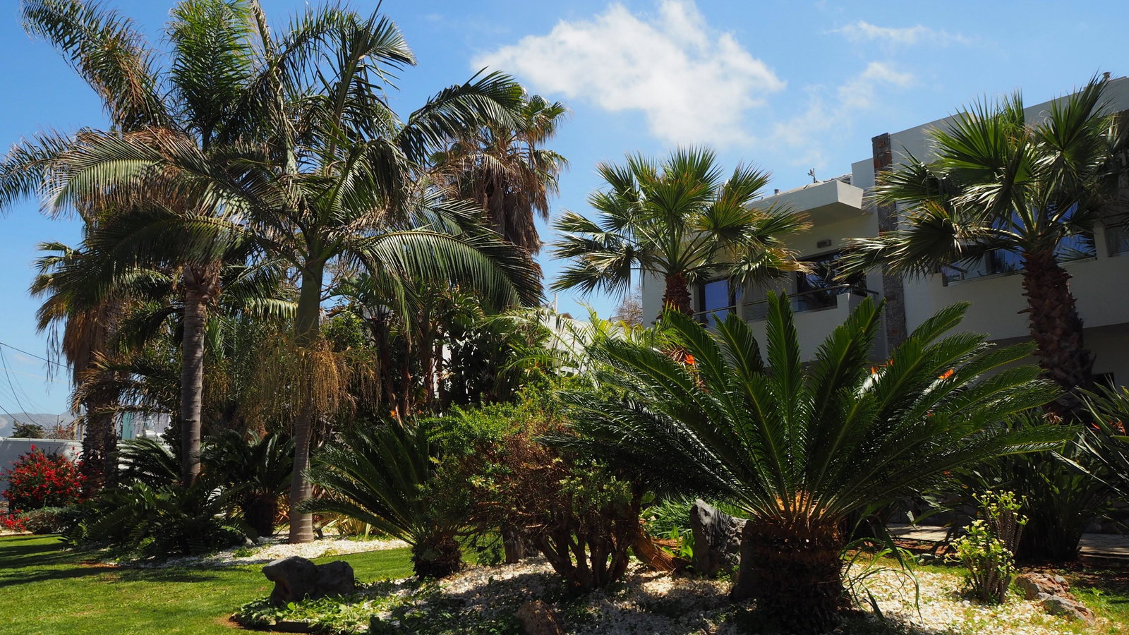 dal travel Kyknos Beach Hotel & Bungalows
