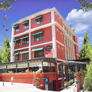 Hotel Bakirkoy Tashan Business & Airport Hotel cazare Bahcelievler