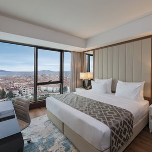 Hotel Elite World Grand Istanbul Kucukyali cazare Manyas
