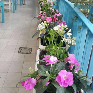 Hotel Adana City Hotel cazare Seyhan