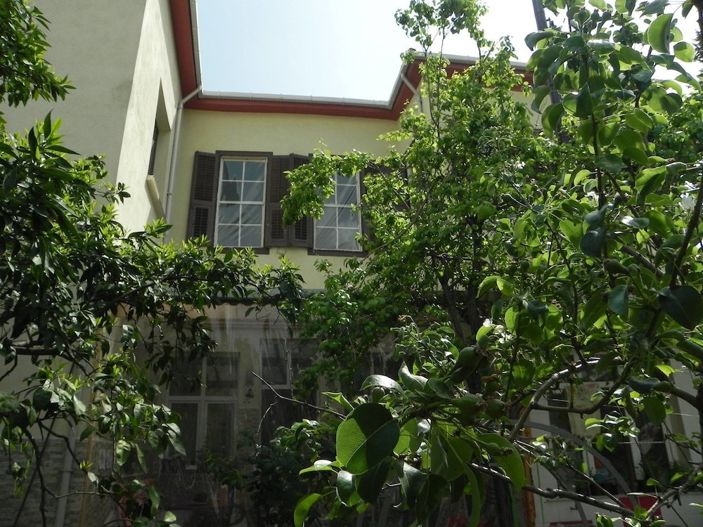 Hotel Lotus Garden Hostel