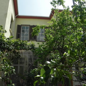 Hotel Lotus Garden Hostel cazare Nikfer