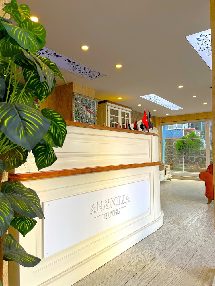 Hotel Anatolia Hotel Airport
