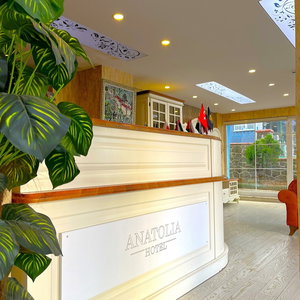 Hotel Anatolia Hotel Airport cazare Caglayan