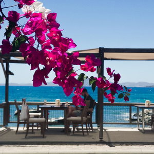 Hotel One More Day Hotel cazare Karatoprak