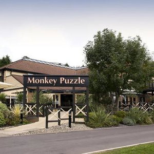 Sejur Premier Inn Chessington vacanta Chessington