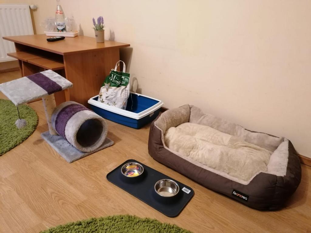 New Aosta Garden
