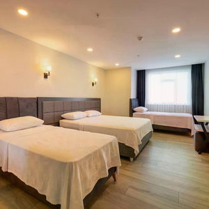 Hotel Venesia Hotel cazare Arsin
