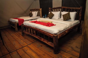 Hotel Maisha Serengeti Camps cazare Mugumu