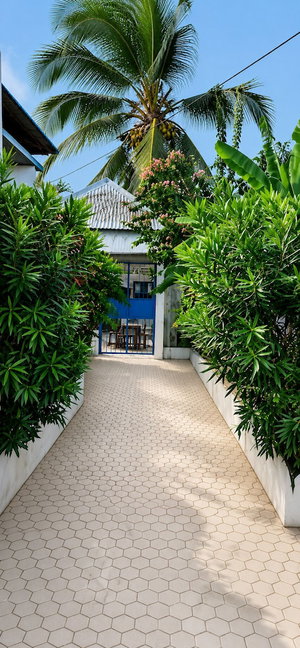 Hotel Primavera Jambiani cazare Jambiani