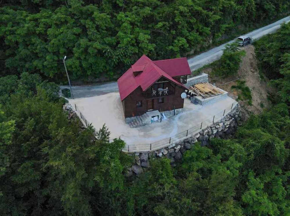 Hotel Diamond Tree House