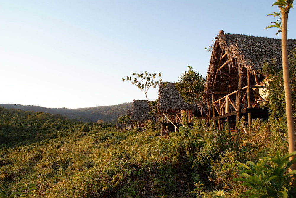 Hotel Crater Forest Tented Lodge