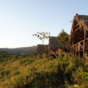 Hotel Crater Forest Tented Lodge cazare Kiratu