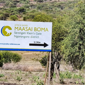 Hotel Africa Safari Maasai Boma Camping cazare Ngorongoro