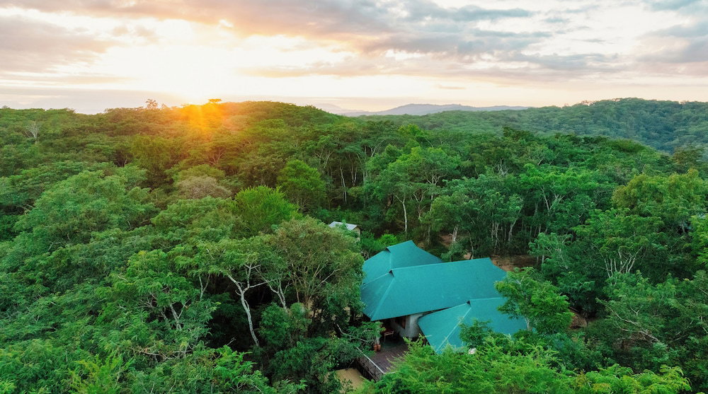 Hotel Mikumi Safari Lodge