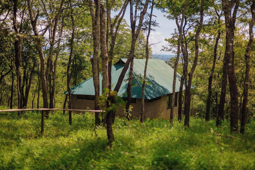 Mikumi Safari Lodge