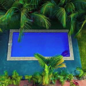 Hotel Kindo Kicha Farmhouse cazare Moshi