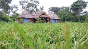 Hotel Ngerengere River Eco Camp cazare Ngerengere