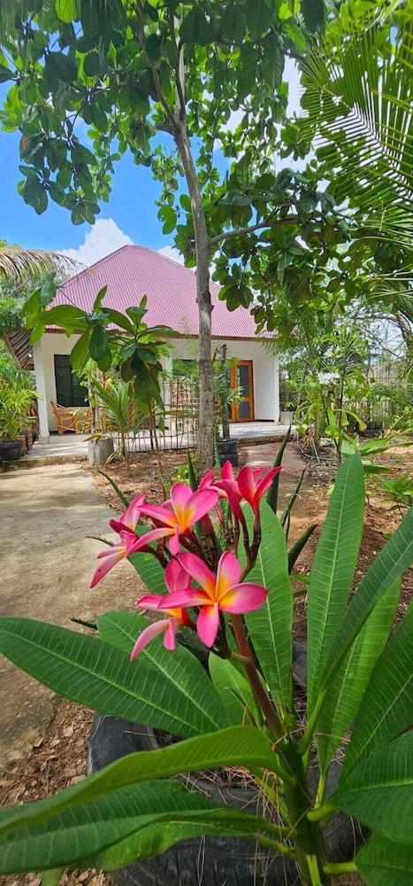 Hotel Z-Village Lodge