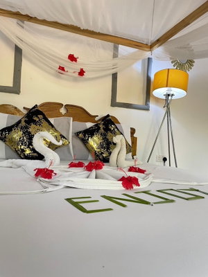 Hotel Zanzllywood Hotel And Apartments cazare Uroa